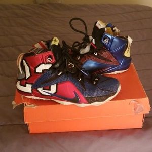 Lebron 12 "what the"